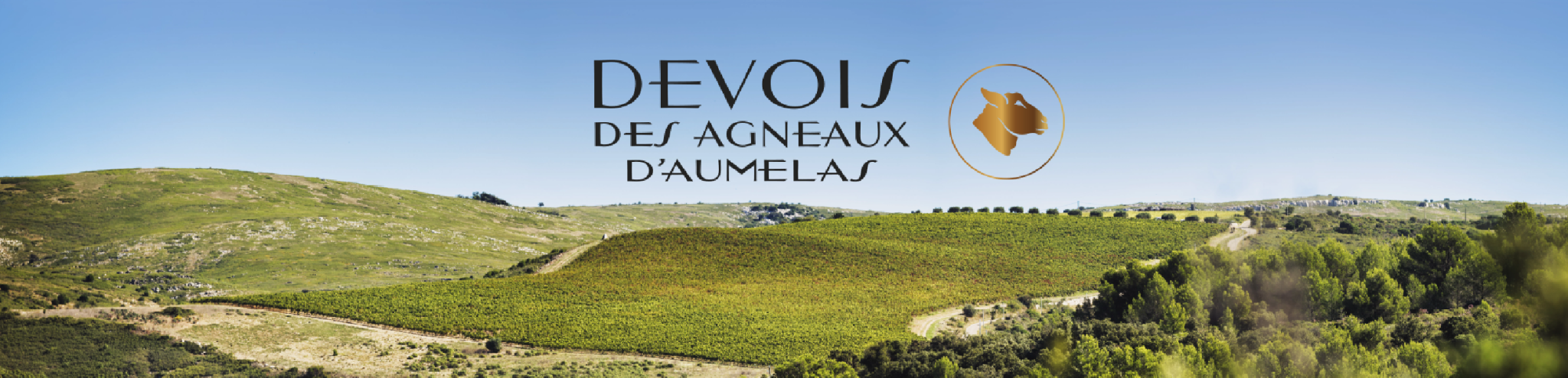 Devois Des Agneaux D Aumelas