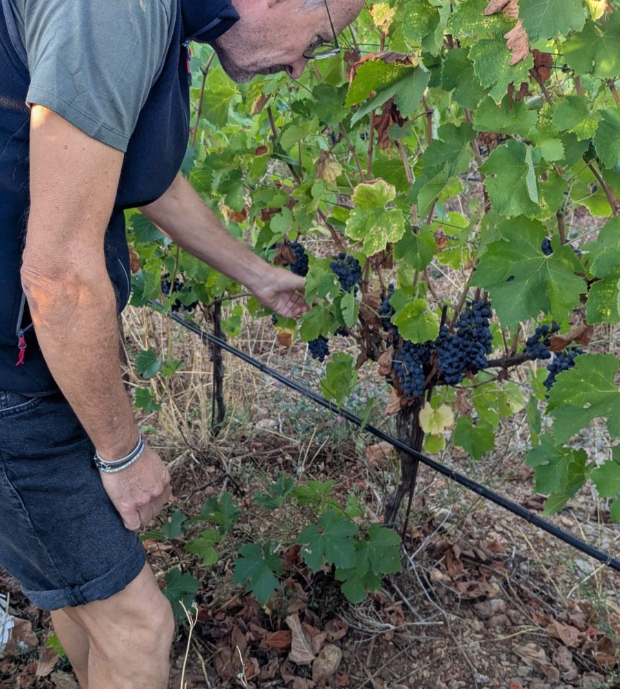 PXL_20250911_060313661