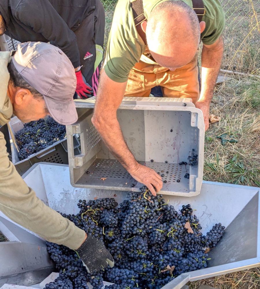 PXL_20250911_061518742