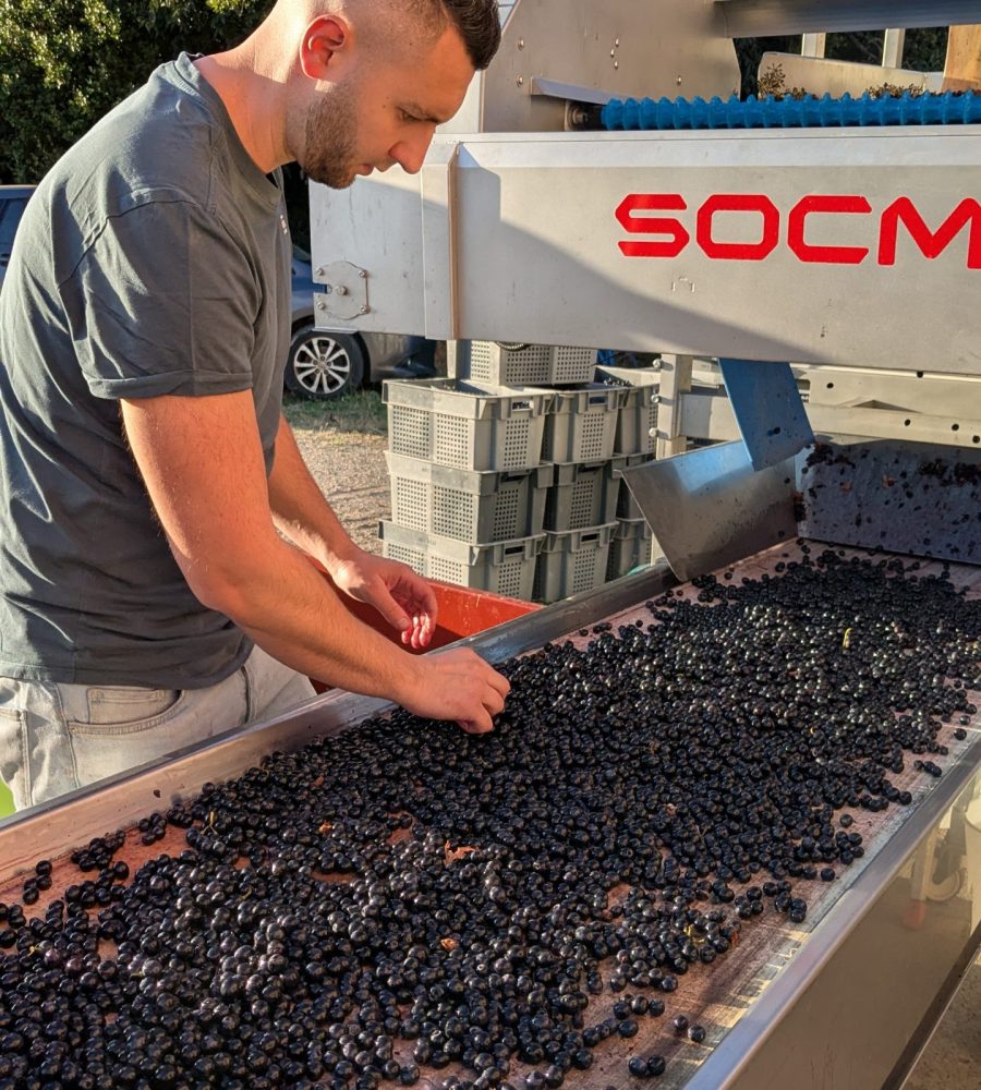 PXL_20250911_061555692