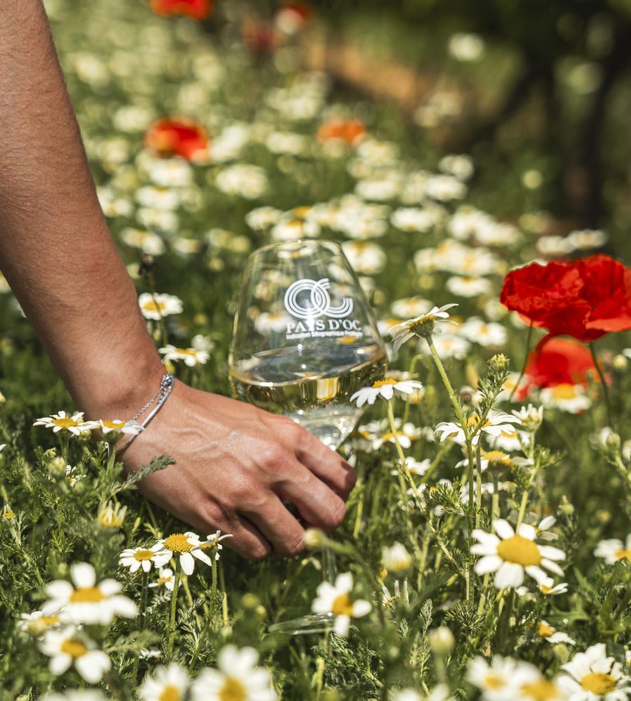 Verre de vin blanc dans les fleurs