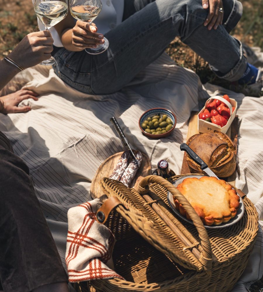 inedit picnic